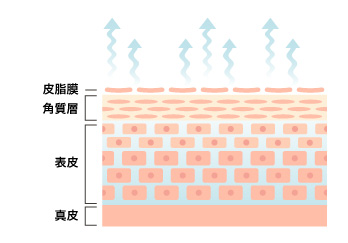 イメージ図