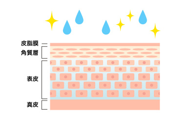 イメージ図